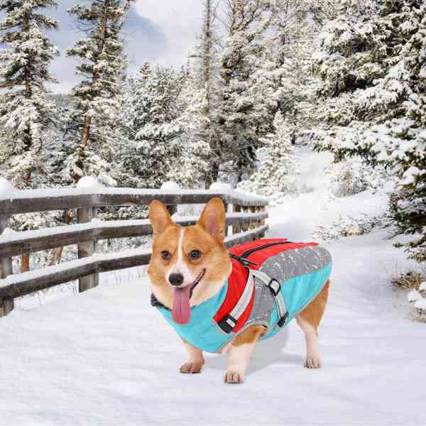 Zimní reflexní kabát pro psy - foto 1