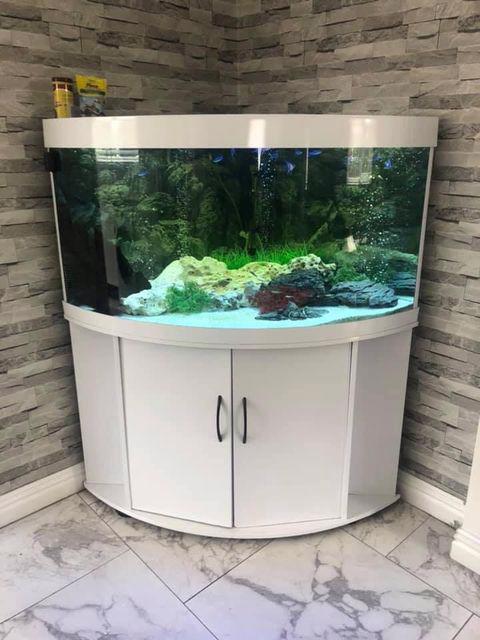Aquarium Tanks For Sale - foto 1