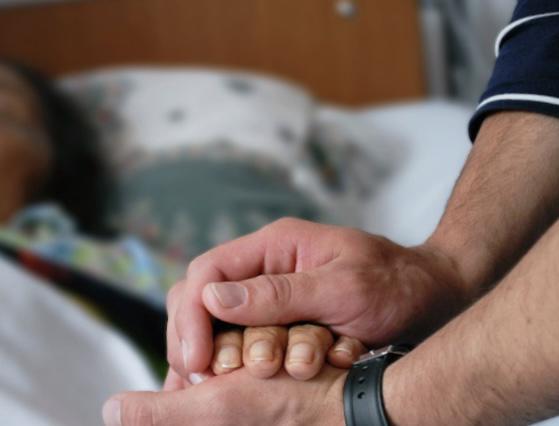 informazioni sui barbiturici Nembutal pentobarbital Italia - foto 1