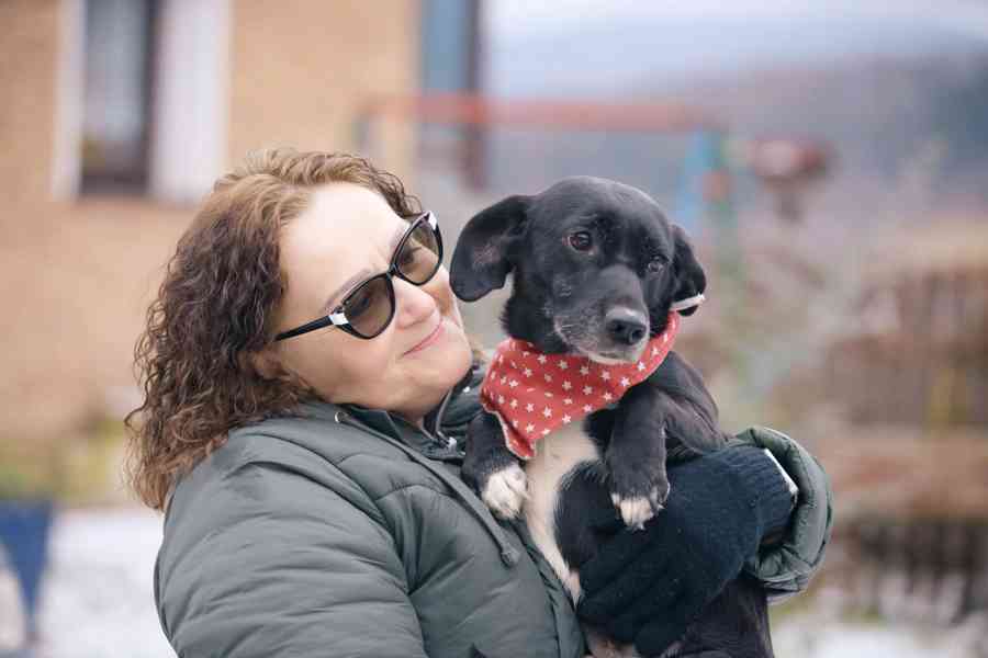 LARA - 12 kg, kastrovaná fenečka 7 let  - foto 3