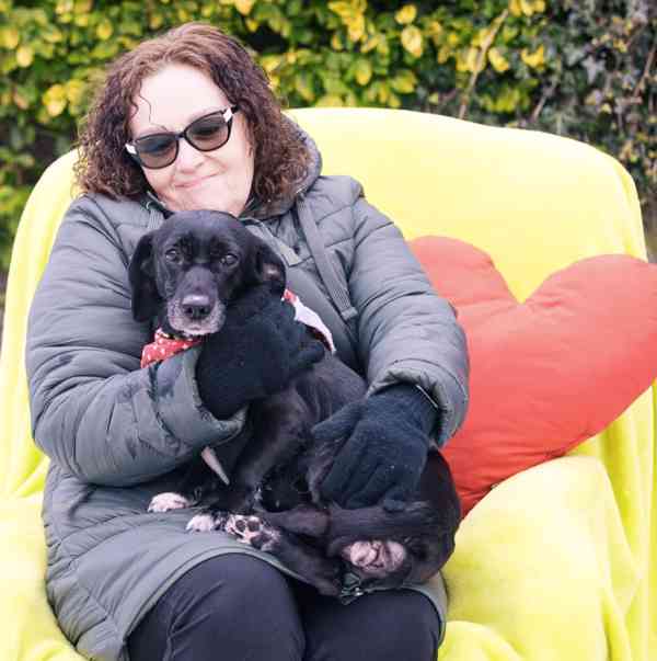 LARA - 12 kg, kastrovaná fenečka 7 let  - foto 2