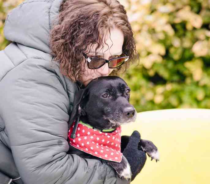 LARA - 12 kg, kastrovaná fenečka 7 let  - foto 4