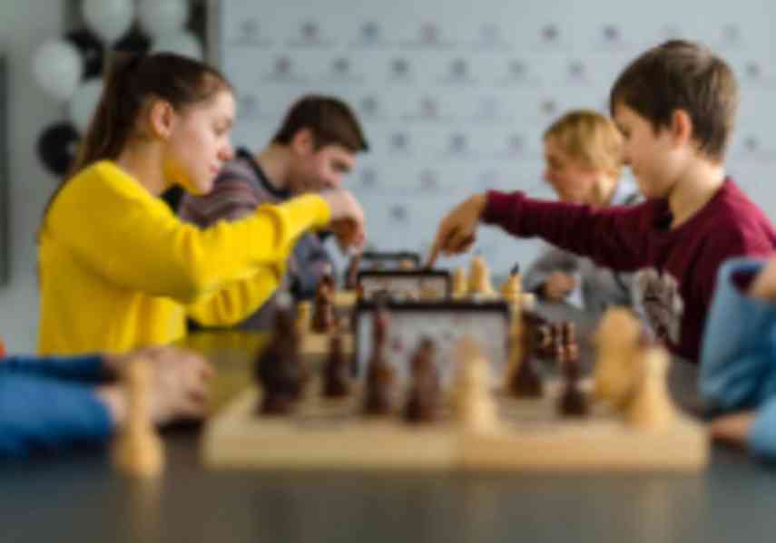 Lektor šachových kroužků na ZŠ; 230-460,- Kč/h - foto 4