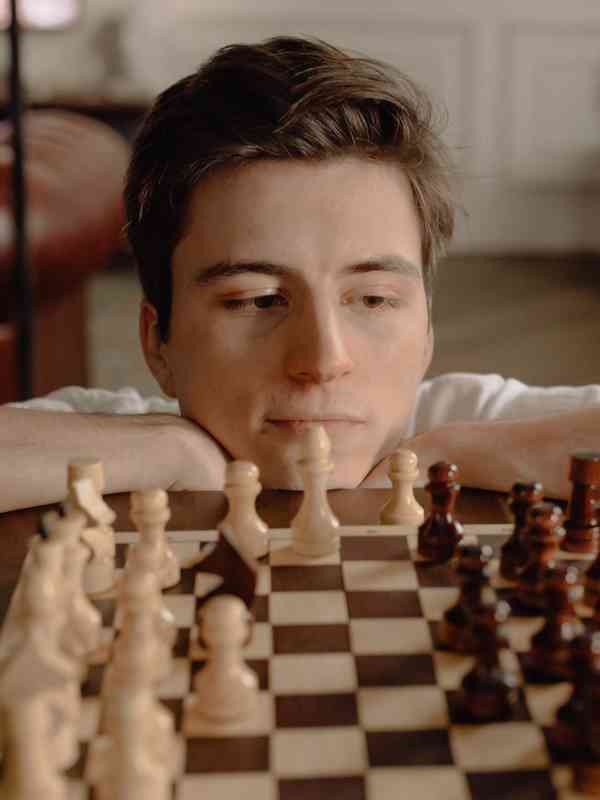 Lektor šachových kroužků na ZŠ; 230-460,- Kč/h - foto 5