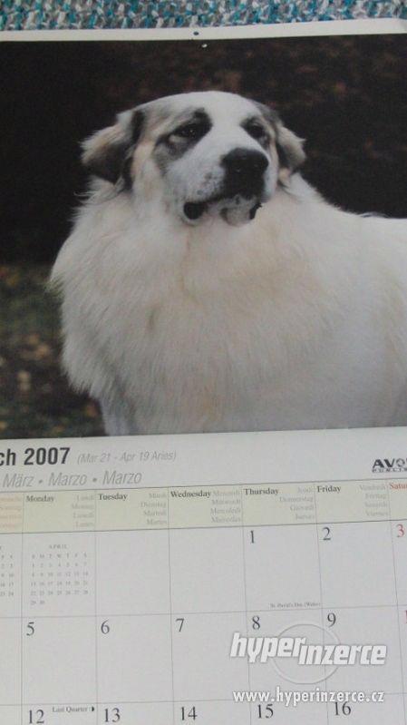 Great Pyrenees - Pyrenejský ovčák - kalendář 2007. - foto 5