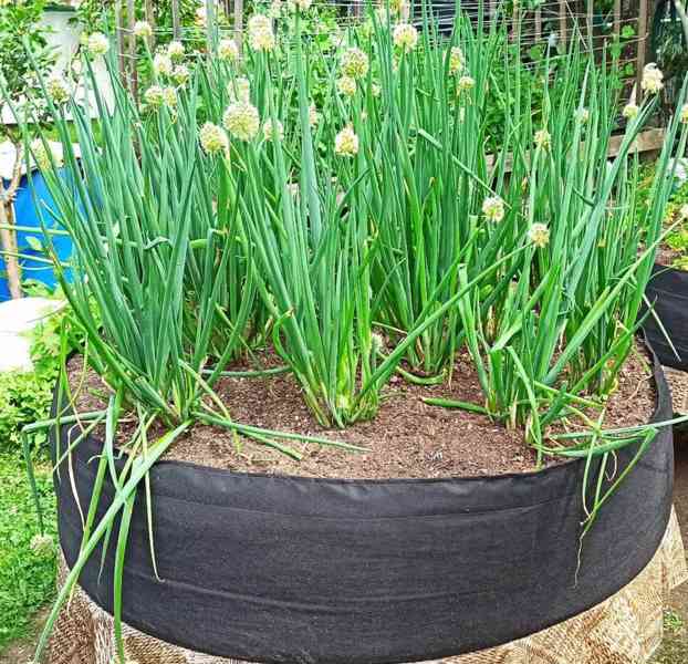 Moon River textilní květináč záhon černý 1 ks obsah 70 l  - foto 2