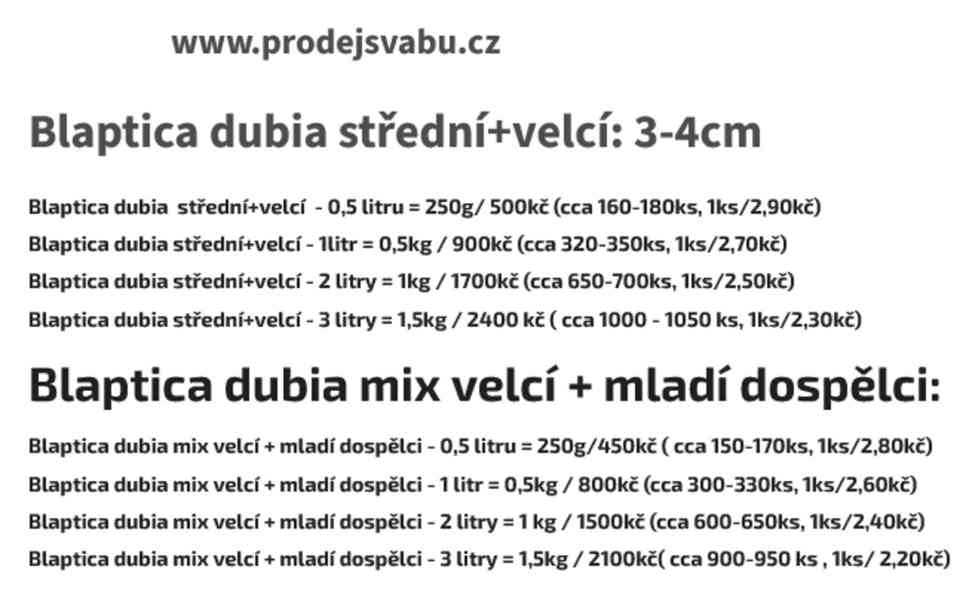 Švábi Blaptica dubia 3-4cm  - foto 1