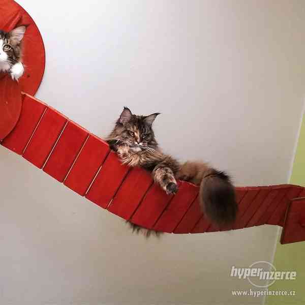 Nové kočičí pelíšky, domečky, boudy a jiný nábytek pro kočky - foto 1