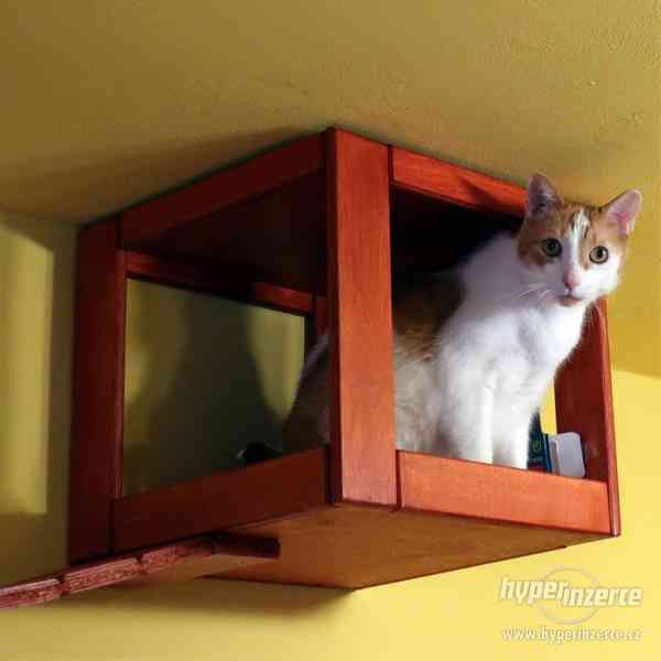 Nové kočičí pelíšky, domečky, boudy a jiný nábytek pro kočky - foto 3