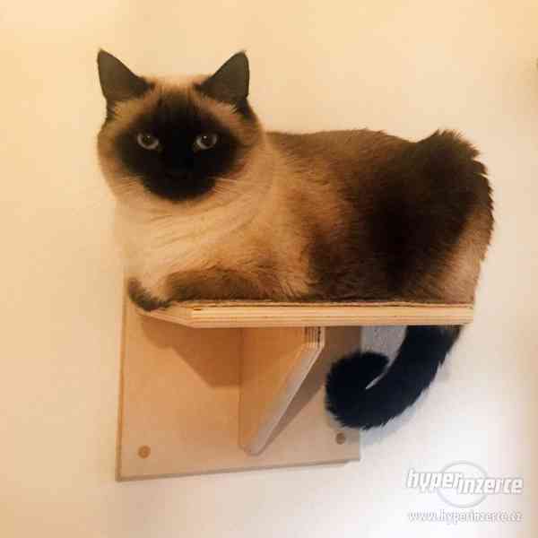 Nové kočičí pelíšky, domečky, boudy a jiný nábytek pro kočky - foto 4