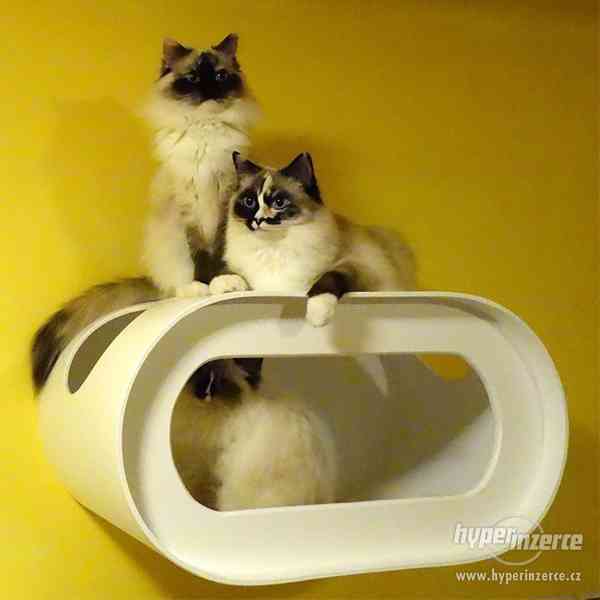 Nové kočičí pelíšky, domečky, boudy a jiný nábytek pro kočky - foto 7