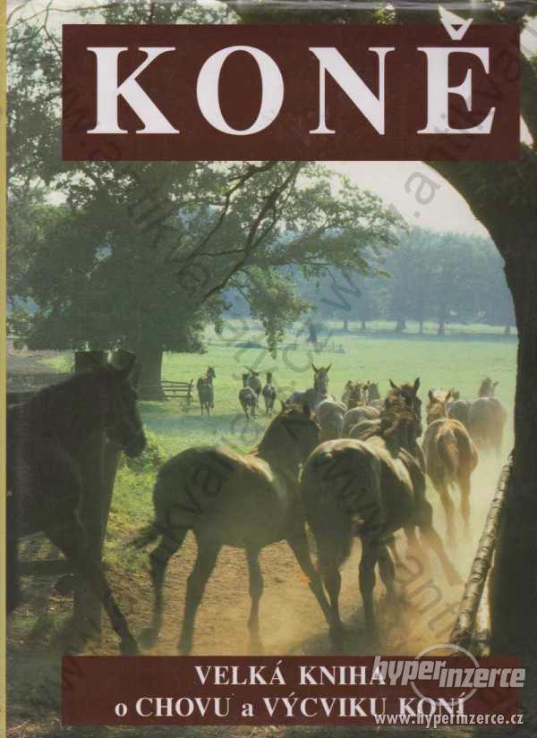 Velká kniha chovu a výcviku koní Koně Cesty 1995 - foto 1