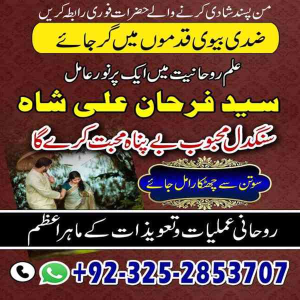 Spiritual Healer in Canada,  Vashikaran Specialist in Uk, sp - foto 6