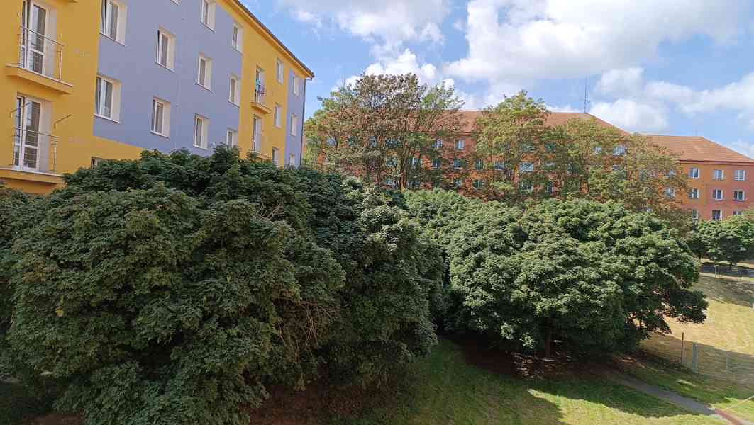Prodám byt 2+1 Sokolov, Heyrovského - foto 16