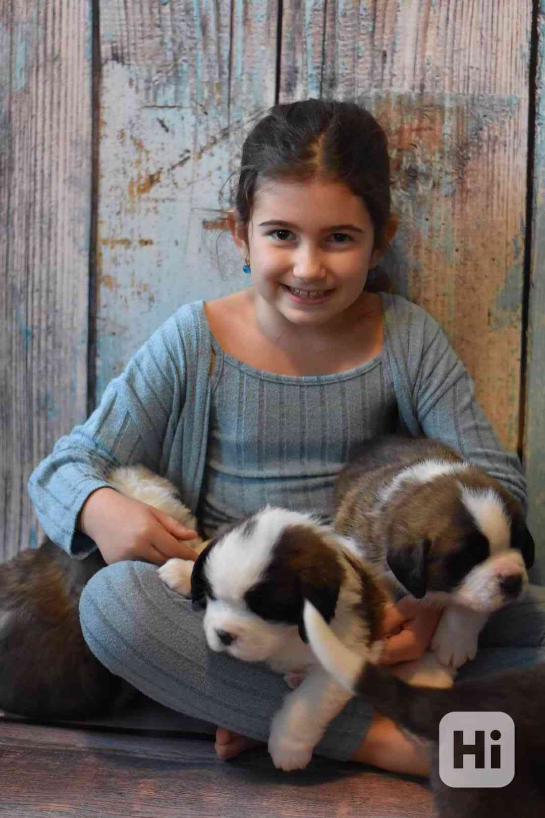 Bernardýn s PP - foto 1