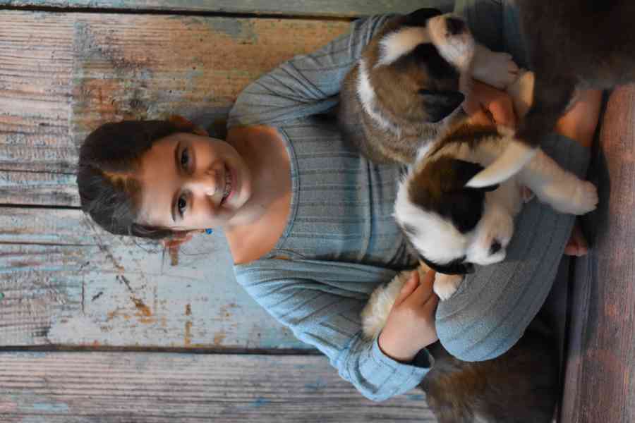 Bernardýn s PP - foto 1