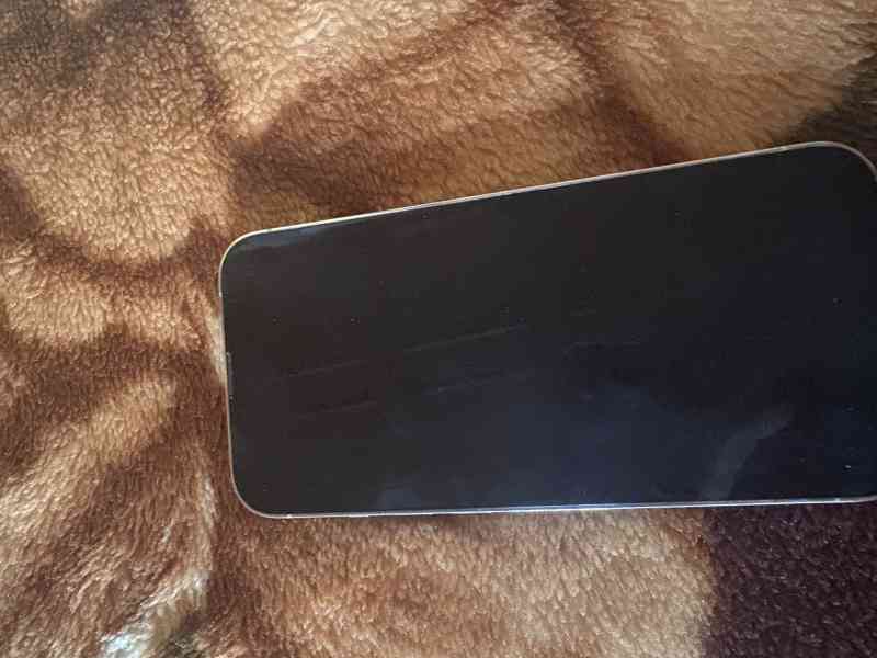 Apple iPhone 13 Pro 256 gb silver  - foto 3