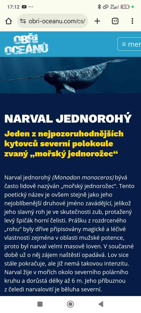 Zub Narvala jednorohého - foto 3