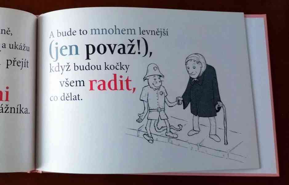 J. Joyce: O kočkách a Kodani. - foto 2