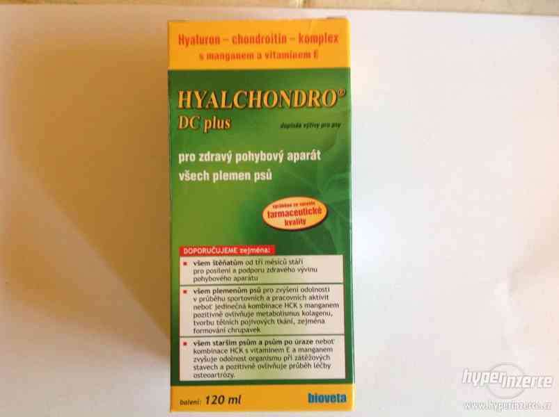 HyalchondroDC plus - foto 1