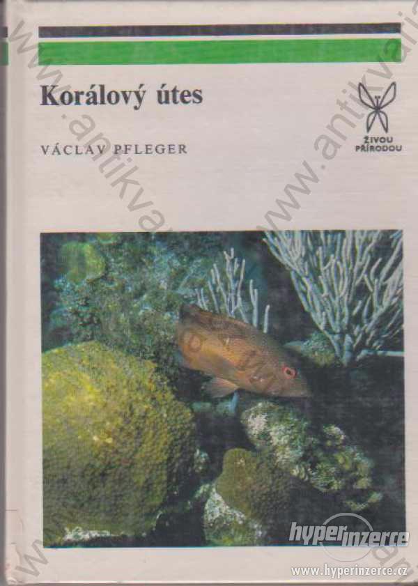 Korálový útes Václav Pfleger Academia, Praha 1989 - foto 1