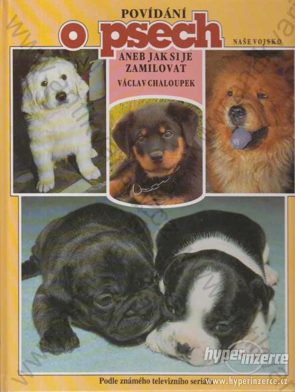Povídání o psech aneb jak si je zamilovat 1993 - foto 1