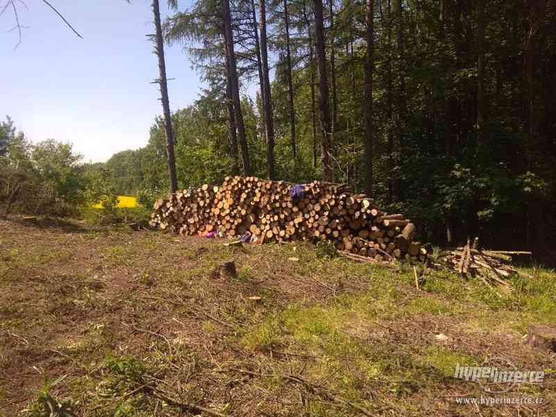 Prodám smrkové palivové dřevo - foto 1