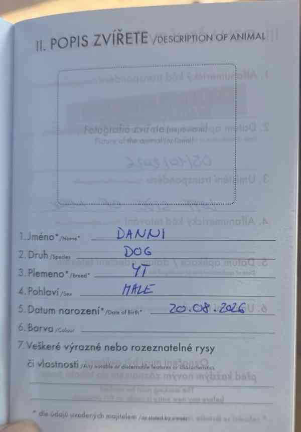 Jorkšírský teriér - foto 8