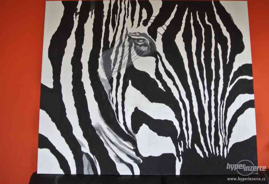 Obraz na plátně Zebra - foto 1