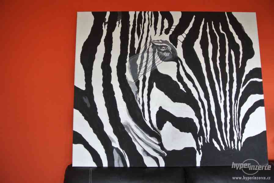 Obraz na plátně Zebra - foto 2