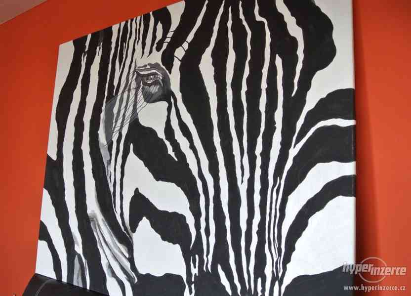 Obraz na plátně Zebra - foto 3