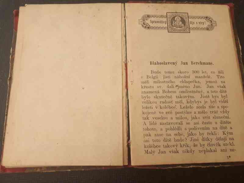  Pravidla pro mládež (Alžběta Petržílková) - 1888  - foto 5