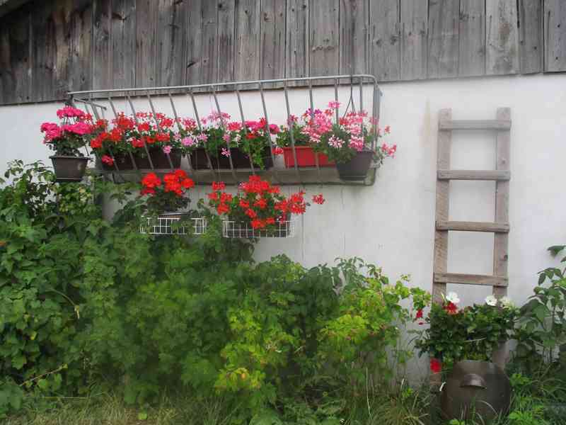 Dům v podkrkonoší se stavebními pozemky - foto 3