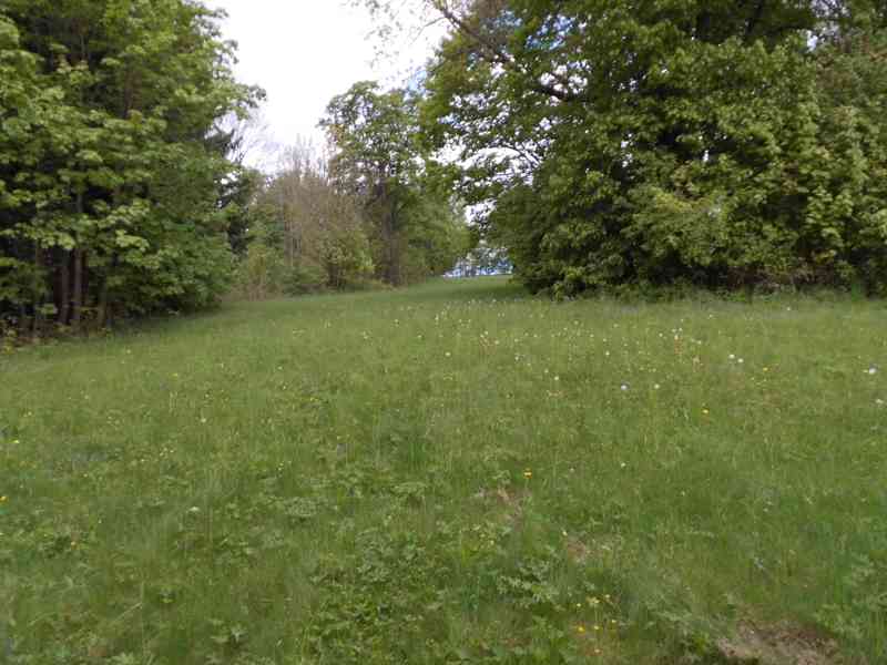 Dům v podkrkonoší se stavebními pozemky - foto 5