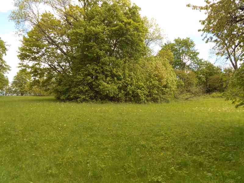 Dům v podkrkonoší se stavebními pozemky - foto 4