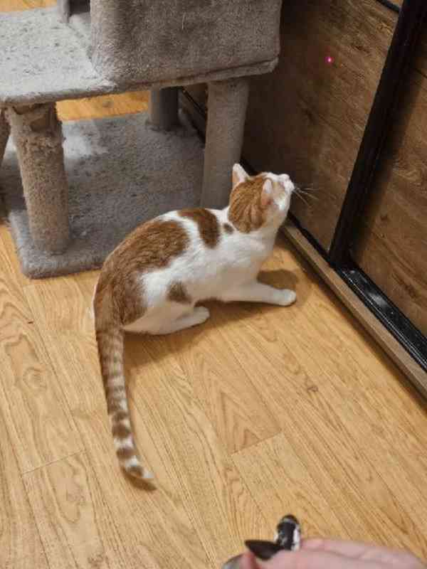 Domov pro Fabiena - foto 4