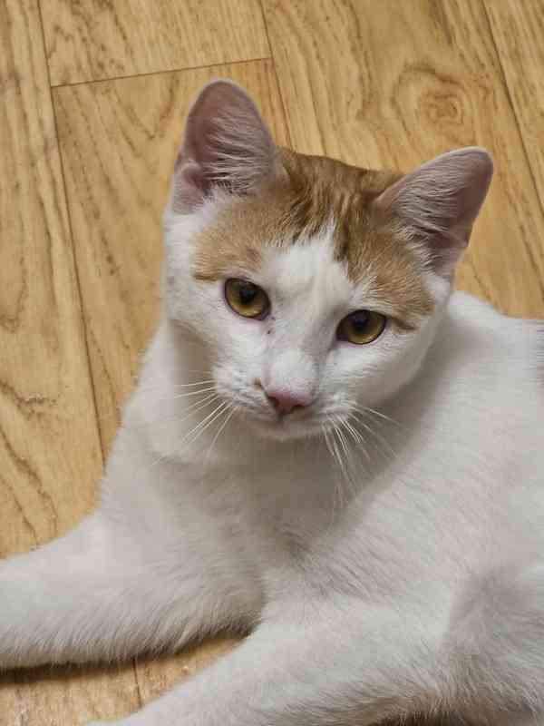 Domov pro Fabiena - foto 1