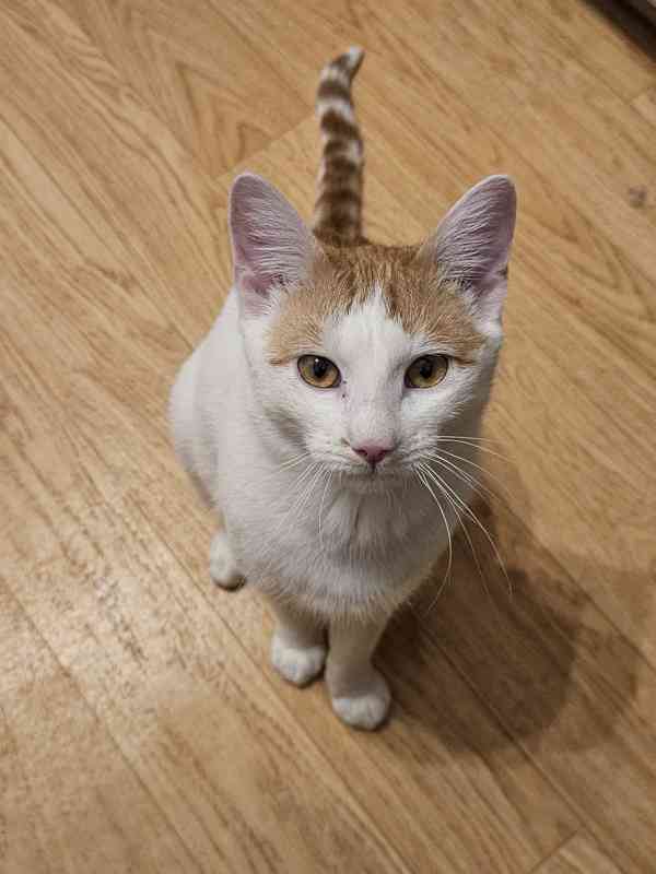 Domov pro Fabiena - foto 3