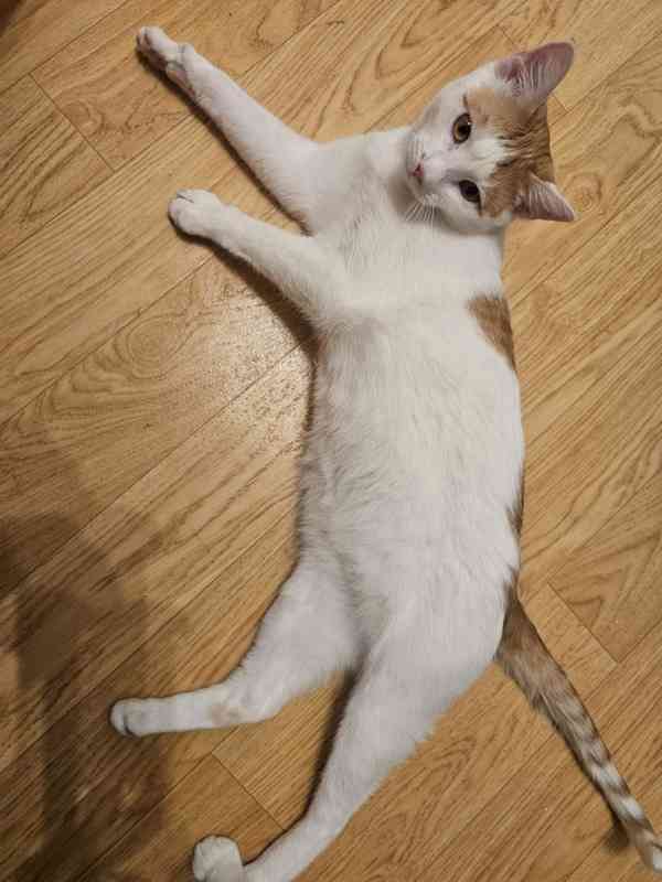 Domov pro Fabiena - foto 2