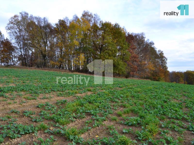 Prodej pozemku 11599m2 Stráž pod Ralskem - foto 4