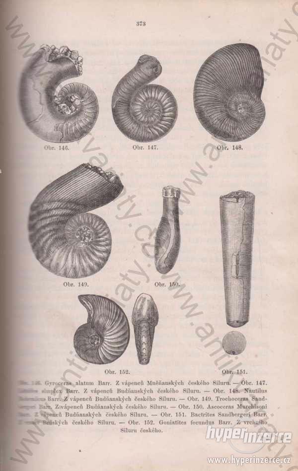 Geologie Jan Krejčí 1877, 742 dřevorytů - foto 1