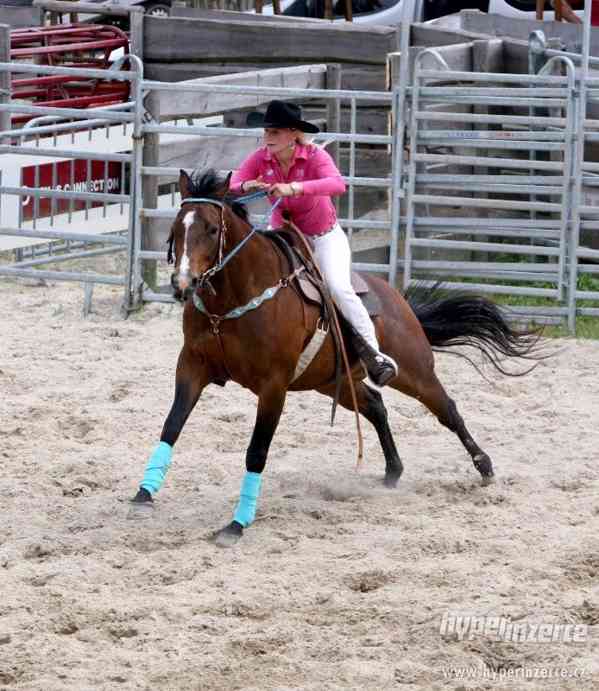 Americký Quarter Horse klisna - Katy's Last Saloon - foto 6