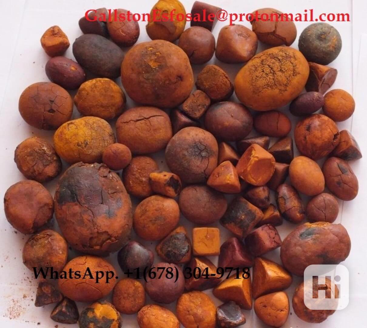 Ox Gallstones - bazar - Hyperinzerce.cz