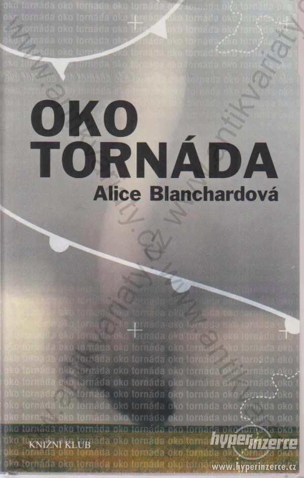 Oko tornáda Alice Blanchardová 2005 - foto 1