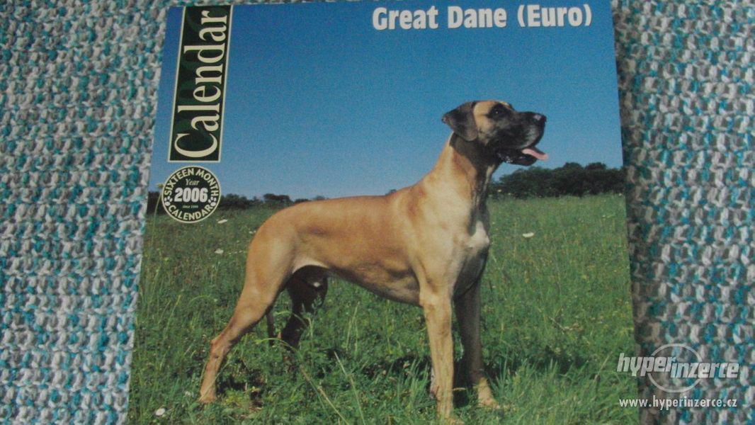 Německá doga - Great Dane (USA) - kalendář 2006. - foto 1
