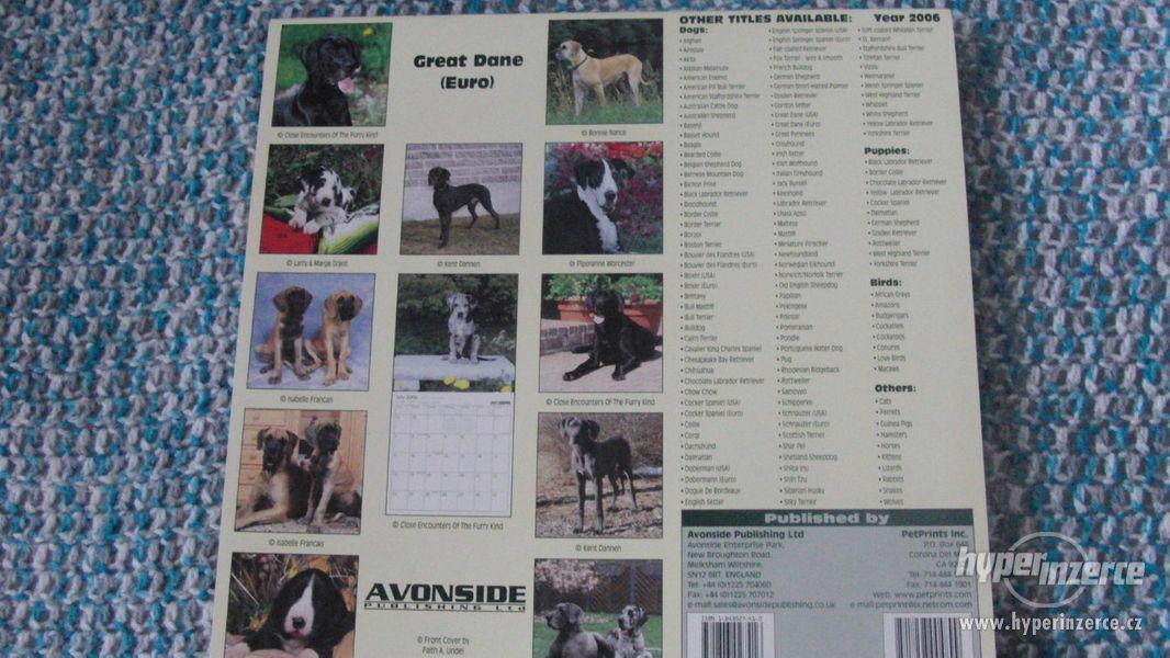 Německá doga - Great Dane (USA) - kalendář 2006. - foto 2