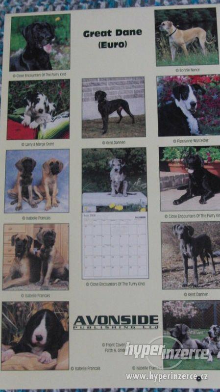 Německá doga - Great Dane (USA) - kalendář 2006. - foto 3
