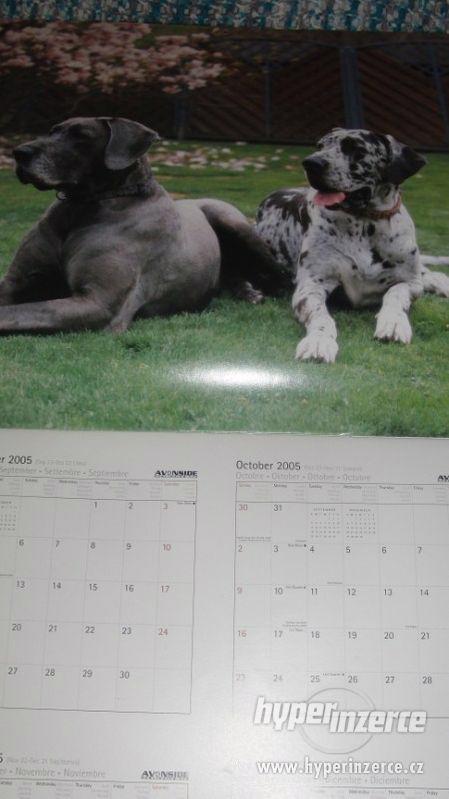 Německá doga - Great Dane (USA) - kalendář 2006. - foto 4