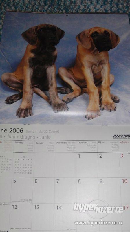 Německá doga - Great Dane (USA) - kalendář 2006. - foto 5