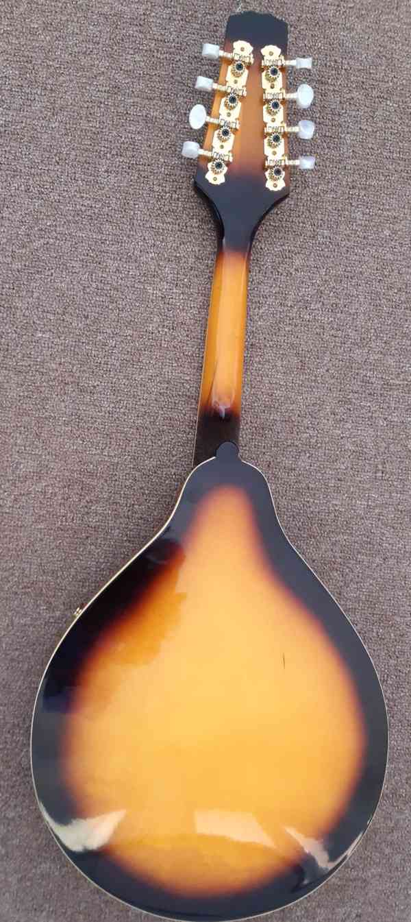 Mandolína  ANDY STONEWOOD - foto 2